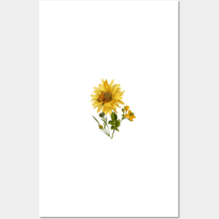 Beautiful Sunflower with butterfly - metamorphora Gift for nature lover Posters and Art